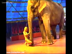 Posing with a large elephant, a flawless blonde beauty wearing a little strap bikini